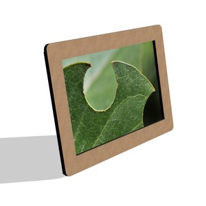 Simple Portrait - Svg, Dxf, Pdf, Cdr, Ai - Vector for Laser Cutting