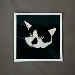 A Cat Named Mojo
