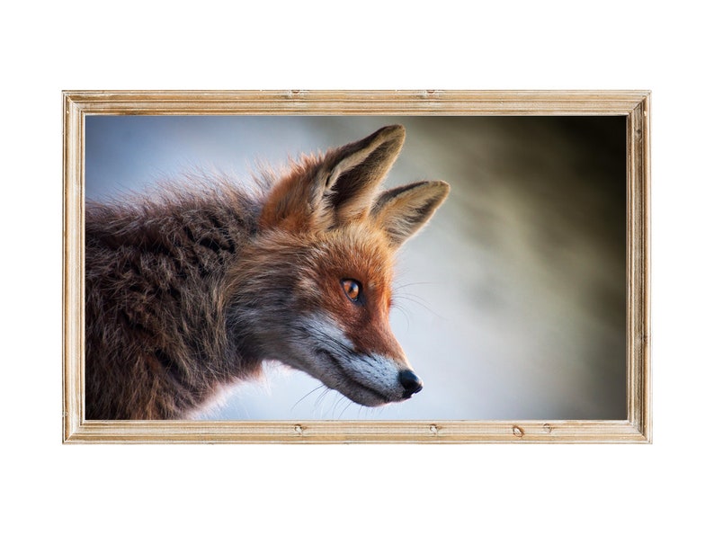 mirror for samsung tv free mirror for samsung tv free