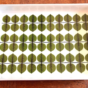 Peut inclure: Un plateau de service rectangulaire en céramique blanche orné d'un motif répétitif composé de trois lignes horizontales noires, chacune agrémentée de paires de feuilles vertes aux nervures vert foncé. Le plateau présente des bords surélevés.
