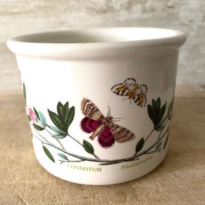 Vintage Portmeirion Botanic Garden 70er Jahre Blumentopf, hübsche kleine Jardiniere im klassischen Botanischen Garten Blumen und Schmetterlinge, kleiner Übertopf.
