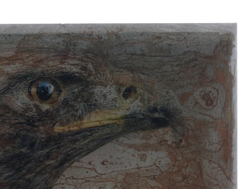Foto sobre el óxido, el águila, la foto sobre el metal, la imagen sobre el metal, el arte fotográfico, el trabajo fotográfico, la transformación de la foto, mi imagen como arte, la fotografía,