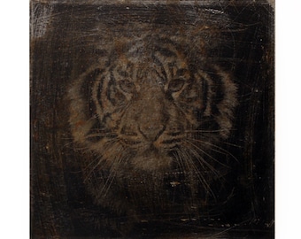 Foto sobre óxido, león, leu, foto sobre metal, imagen sobre metal, arte fotográfico, trabajo fotográfico, transformación, imagen como arte, fotografía