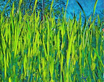 Surrealistic Grass