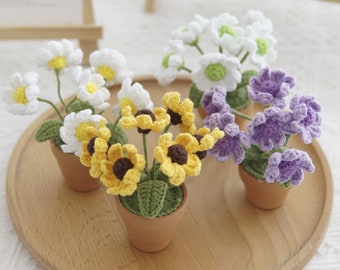 Mini Crochet Daisy Flower Pot, Finished Crochet Flowers Pot, Crocheted Plant Pot, Knitted Flowers, Eclectic Home Decor, Gifts for Her