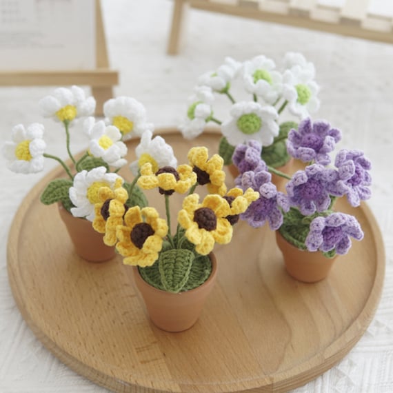 Mini Crochet Daisy Flower Pot, Eclectic Home Decor
