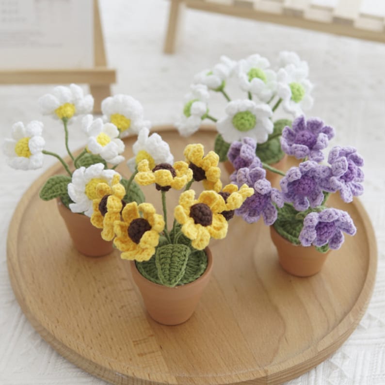 Mini Crochet Daisy Flower Pot