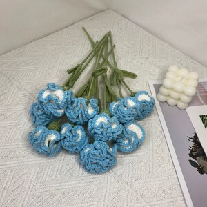 Crochet flower carnations