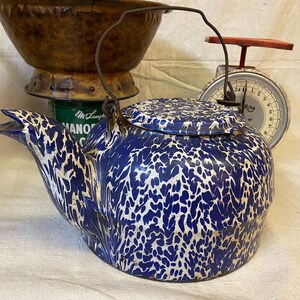 May include: Blue and white speckled enamel teapot with a bird-shaped spout and a lid. The teapot has a vintage look and is made of metal.