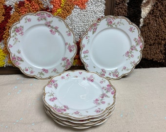 Chipped Antique Haviland France Gilded Limoges Rose Plates