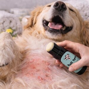May include: A golden retriever lies on its back, smiling, with a black and teal tube labeled "Ruff Spot" being applied to its irritated skin. The product has a white applicator.