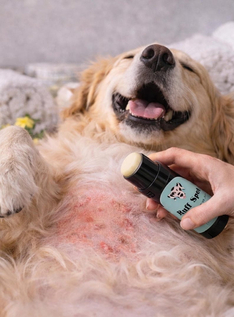 May include: A golden retriever lies on its back, smiling, with a black and teal tube labeled "Ruff Spot" being applied to its irritated skin. The product has a white applicator.