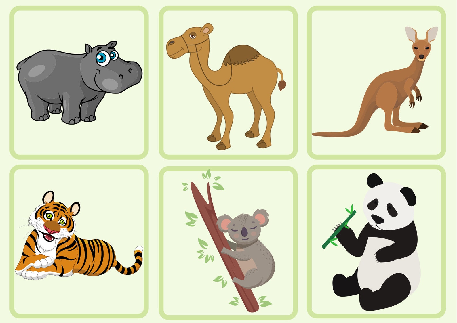 Flash Cards At the Zoo Etsy
