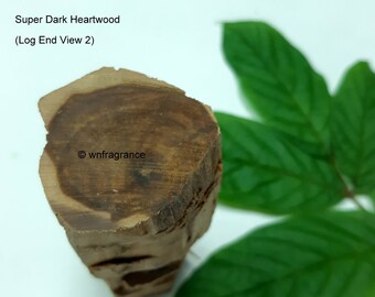 Crème de la crème - Sandalwood Small Root Log - Old Wood - House / Religious / Special Occasions - Perfect Beadings Materials - 92 gm