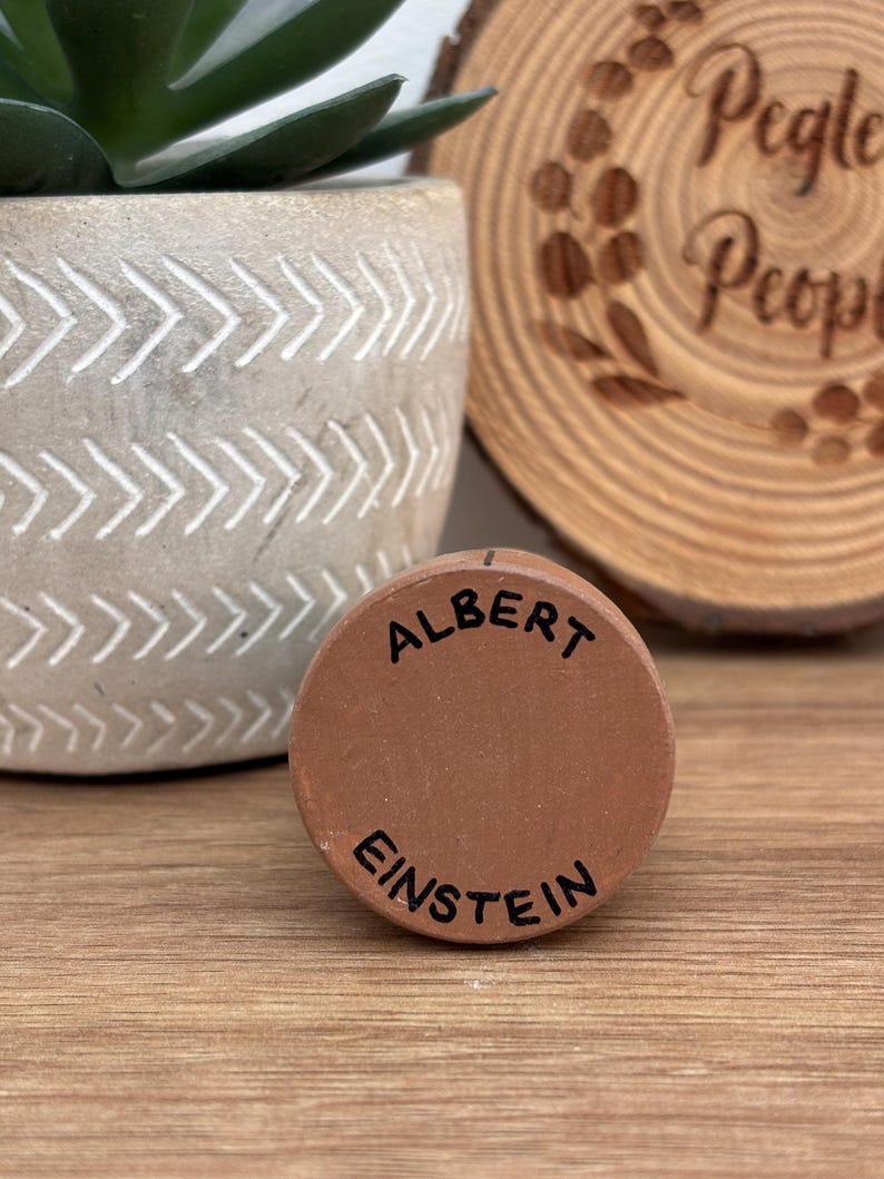 May include: A small, round, terracotta-colored object with the name "ALBERT EINSTEIN" in black lettering. The object is resting on a wooden surface, with a decorative pot and a wooden slice in the background.