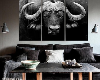 May include: A black and white photo of a large bull with large horns. The bull is looking directly at the camera. The photo is split into three sections.