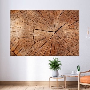 Tree Ring Wood Texture Canvas Print – Extra Large Modern Wall Art