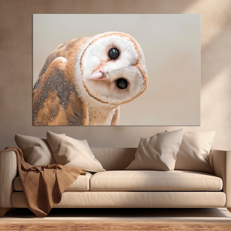 Owl Wall Decor - Etsy