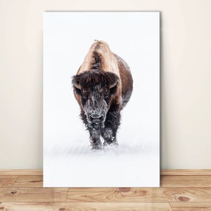 Buffalo in the snow canvas wall art Bison print Farmhouse decor Yellowstone Bison Winter bull Rustic wall art Man Cave Decor