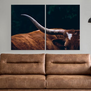 May include: A close-up of a brown and white longhorn cow with large horns. The cow is lying down with its head turned to the side. The background is dark and blurry.