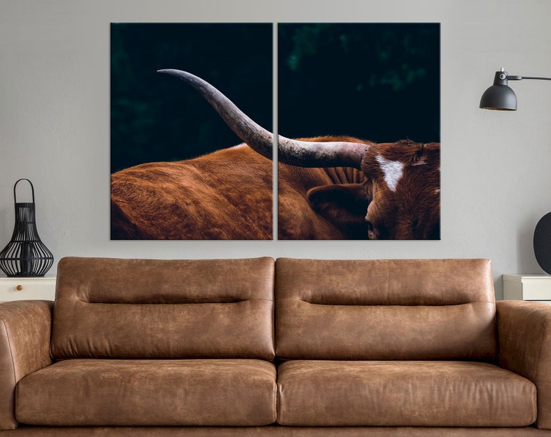 May include: A close-up of a brown and white longhorn cow with large horns. The cow is lying down with its head turned to the side. The background is dark and blurry.