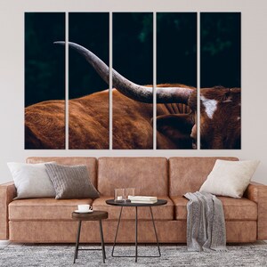 May include: A close-up of a brown and white Texas Longhorn bull with large horns. The bull is looking to the right of the frame. The background is dark and blurry.