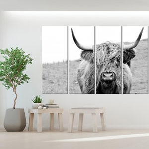 K&ouml;nnte beinhalten: Ein vierteiliges Wandbild-Set mit einer Schwarz-Wei&szlig;-Fotografie eines Hochlandrindes mit langem, zotteligem Fell und markanten, geschwungenen H&ouml;rnern. Das Bild zeigt das Tier von der Brust aufw&auml;rts vor einem grasbewachsenen Feld.