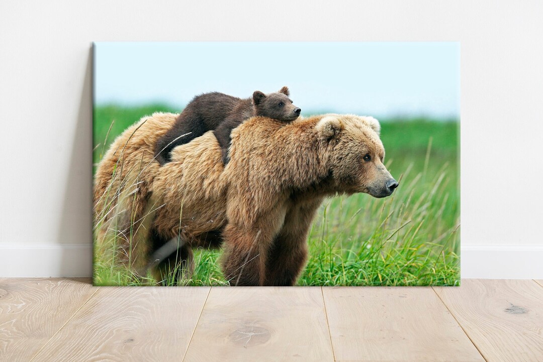 Bear Canvas Wall Art Bear Cub Print Nursery Wall Decor Brown Bear Baby