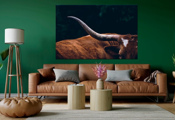 Texas Longhorn Cow Canvas Print, Farmhouse Wall Art