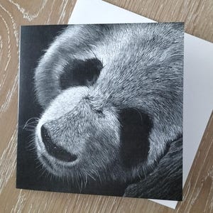 Panda Greeting card