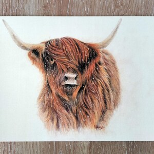 Highland Cow greeting card