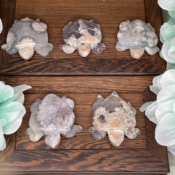 Flower Agate Turtle / Polished Gems / Healing Crystals / Home Decor