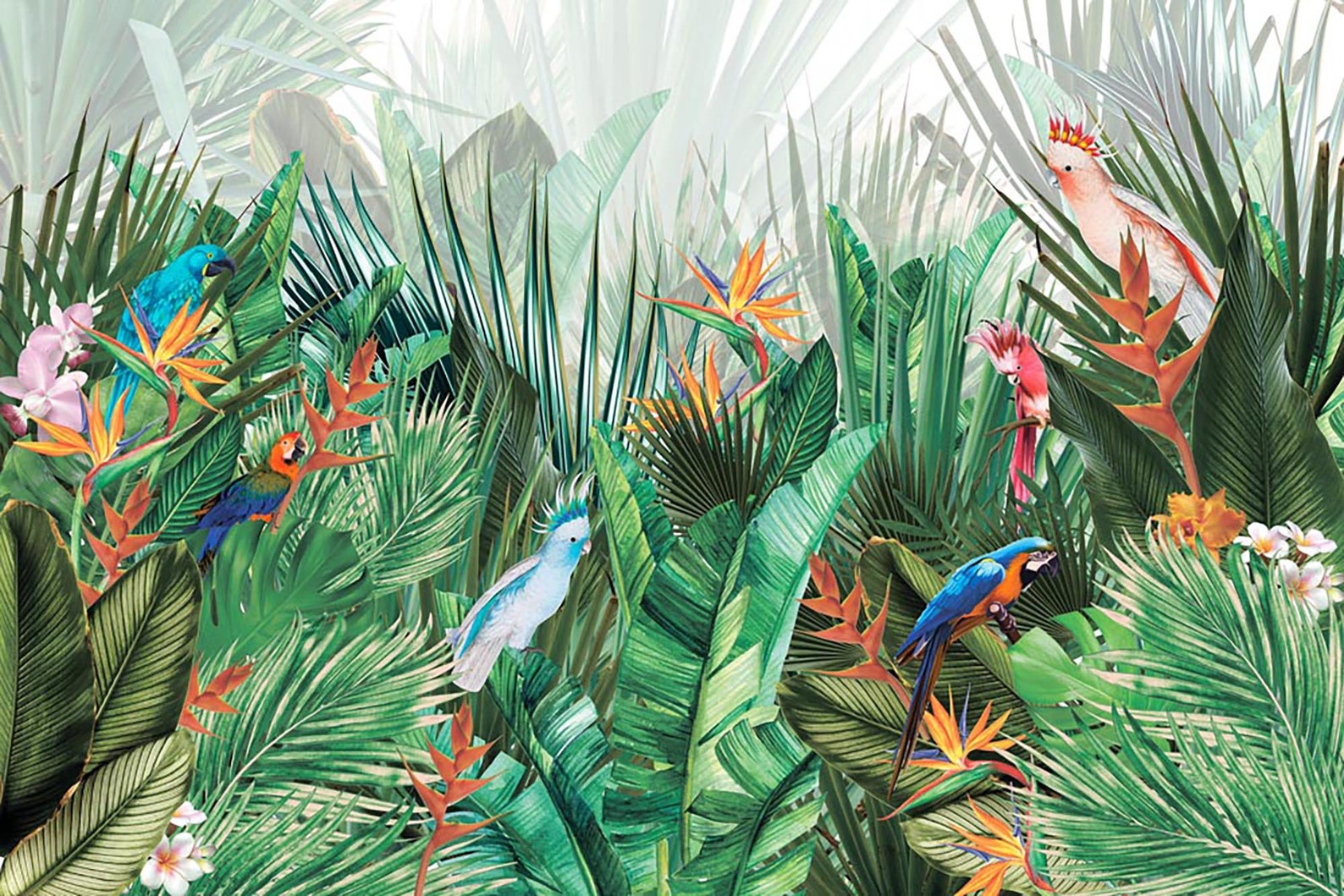 Tropical leaves mural Parrots birds mural Jungle Wallpaper Etsy