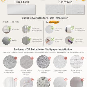 May include: An informational infographic titled Wall Surface Requirements detailing suitable and unsuitable surfaces for mural and wallpaper installation, featuring icons for furniture, glass, metal, wood, smooth, painted, and dry walls, plus red X marks.