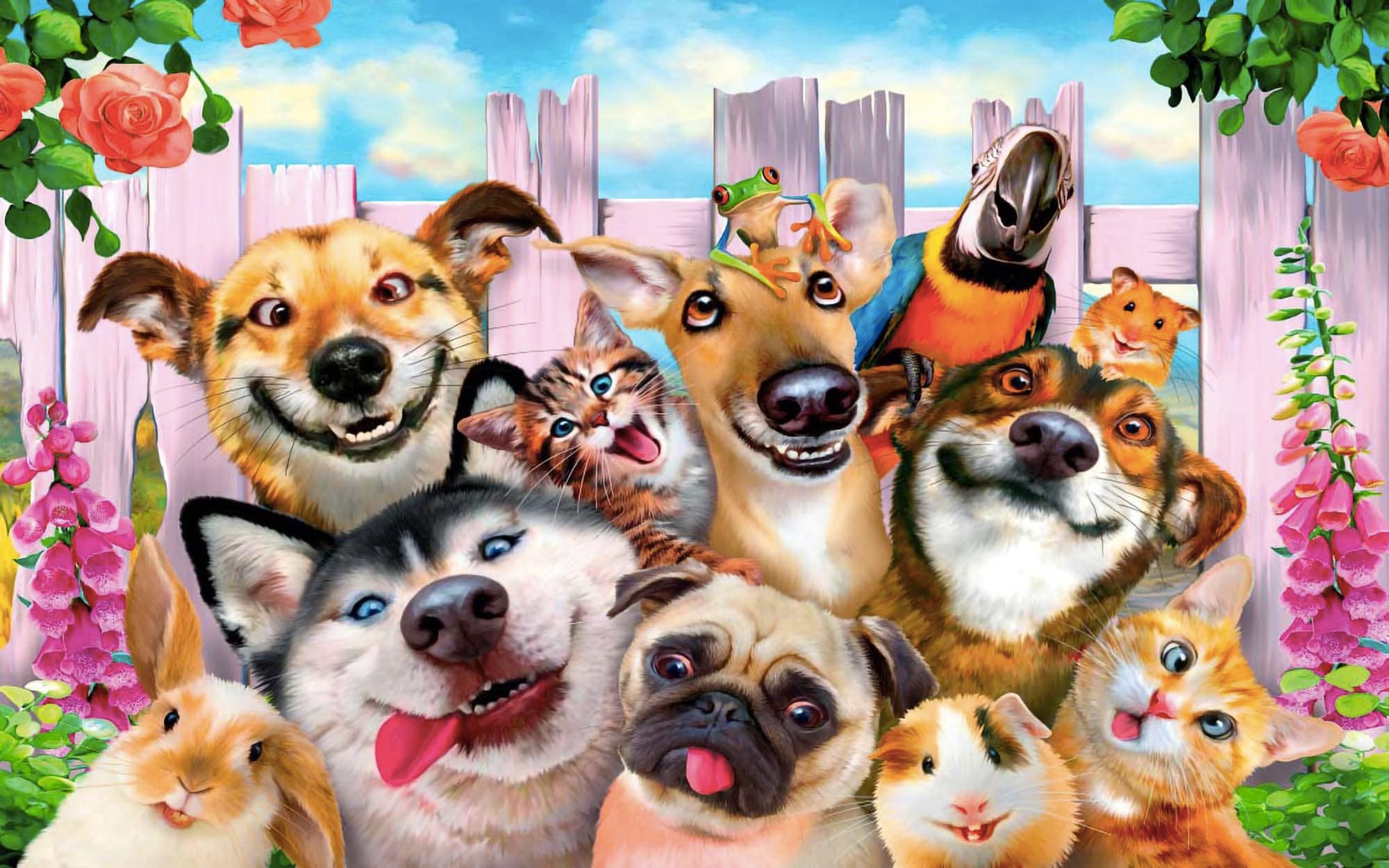 Lustige Hunde Tiere Tapete Hunde Tapete Foto Wandbild Etsy