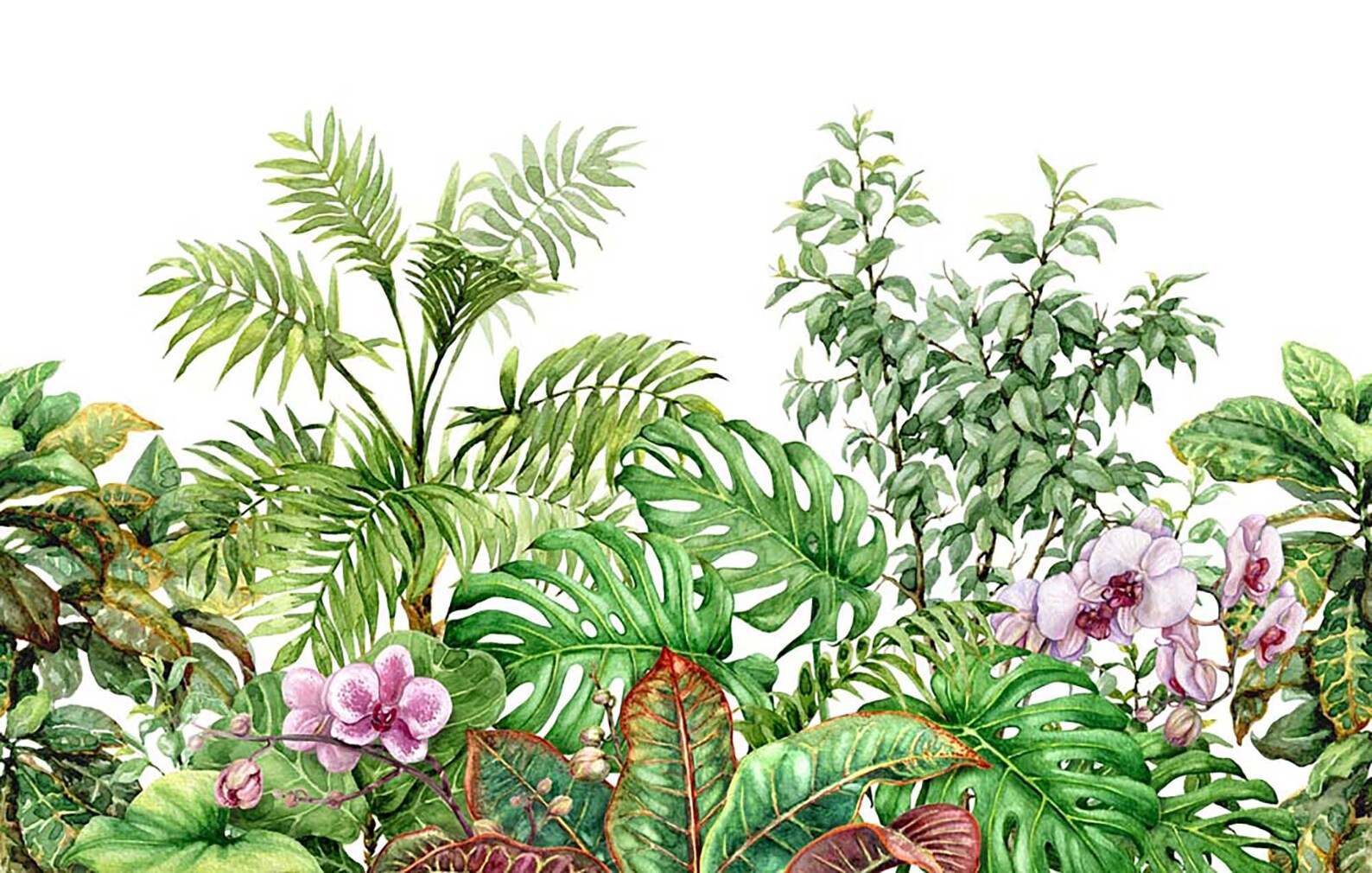 Jungle Wallpaper Tropical mural Mural Wallpaper Photo Etsy