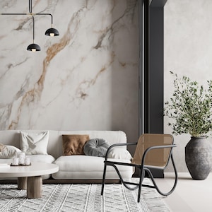 Puede incluir: Un sofá blanco con un cojín de tiro marrón y un cojín gris se encuentra frente a una pared de mármol blanco. Una silla de metal negro con un asiento tejido se encuentra frente al sofá. Una mesa redonda pequeña con una base de madera se encuentra frente al sofá. Una planta en maceta con hojas verdes se encuentra en la esquina de la habitación.