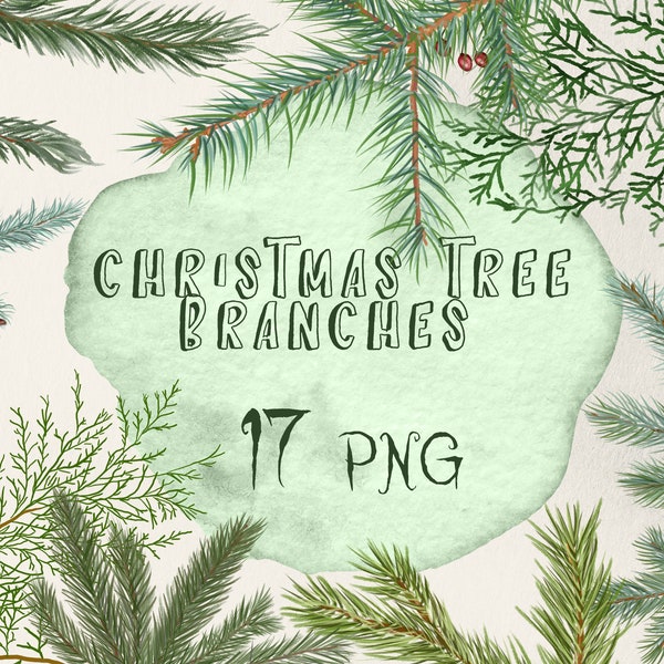 Coniferous branches, Winter Photoshop Overlays, Pine tree branch, Christmas tree branch, Conifer Branches Holiday Set, winter clipart branch