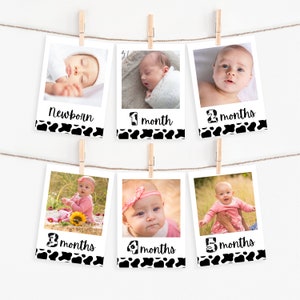 Modèle de bannière photo du premier anniversaire de vache, cartes d’étape mensuelles modifiables Holy Cow I’m One, bannière imprimable du 1er anniversaire de la vache pour enfants, #HCO