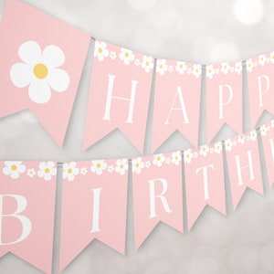 Two Groovy Birthday Banner, Editable Groovy Pink Daisy 2nd Birthday Party Bunting, Retro 70s Second Birthday Party Theme For Girls, #TG2