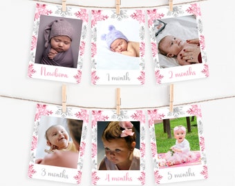 Winter Onederland Milestone Photo Banner, Pink Snowflake Decor (Digital Download)