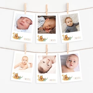 Oproep aan alle feestbeesten maandelijkse fotobanner, bewerkbare Wild One Zoo Safari Dieren afdrukbare fotokaartsjablonen, Instant Download, #CAPA