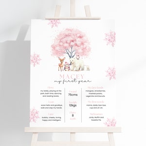 Winter Onederland Meilenstein Zeichen, bearbeitbare rosa Winter 1. Geburtstag Meilenstein Poster Vorlage, DIY Canva, Instant Download, #AAP1