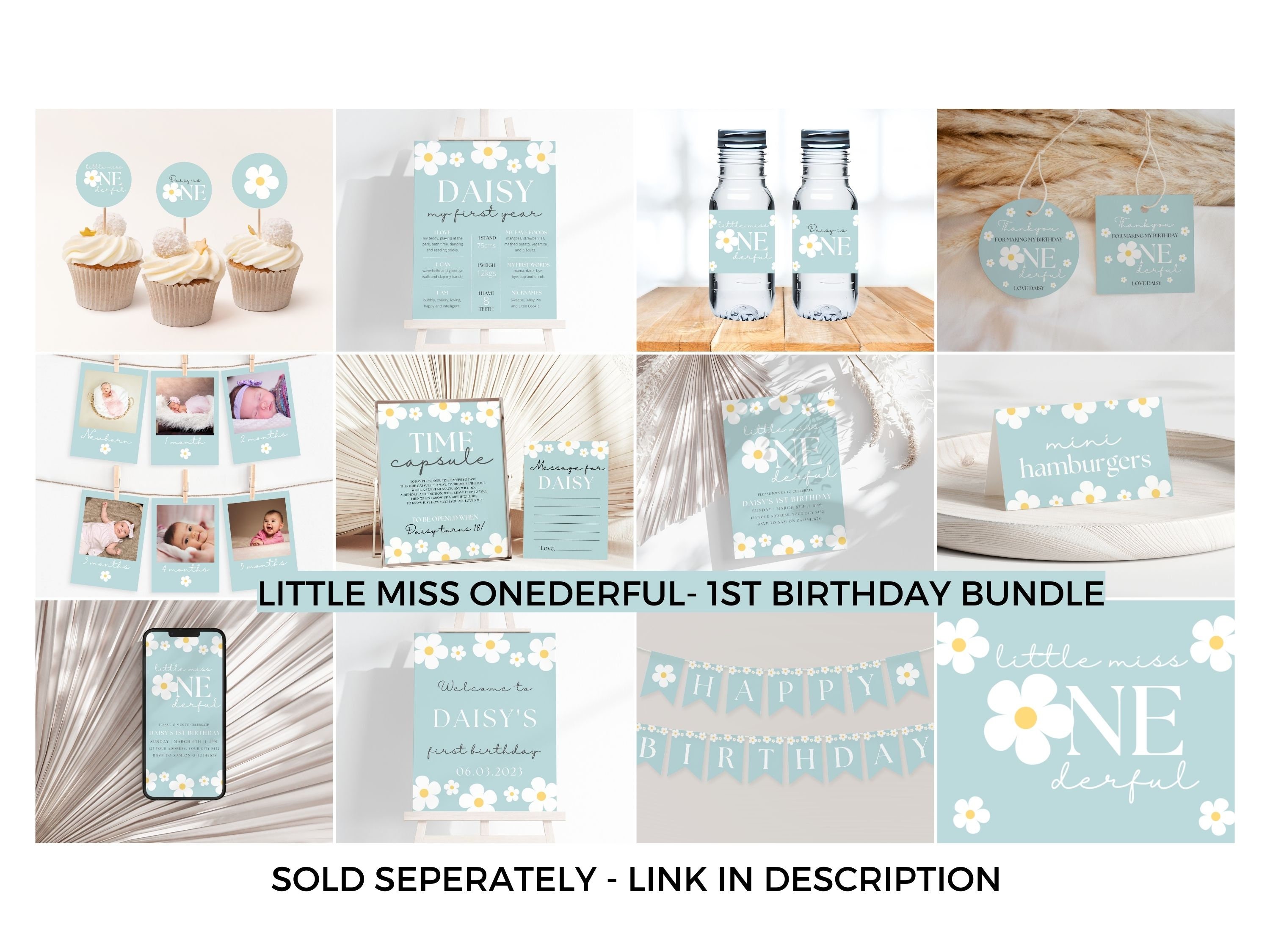 Editable Onederful Birthday Banner, Little Miss Onederful Birthday