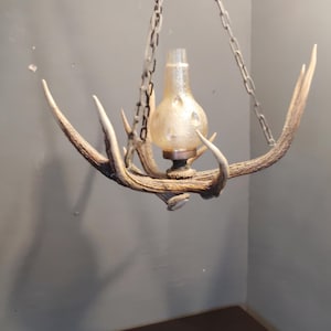 Può includere: Un lampadario a sospensione realizzato con palchi di cervo naturali di colore marrone, dotato di un paralume centrale in vetro color ambra con superficie testurizzata. L'apparecchio è sospeso tramite una catena metallica, creando un elemento rustico.