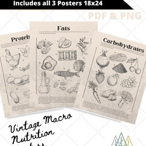 Vintage Macro Educatieve Grafiek met Doodles