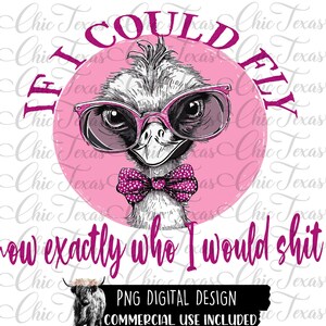 If I Could Fly, Sublimation, Sublimation Designs, Png, Pngs, Digital, Digital Designs, Ostrich, Funny Designs,