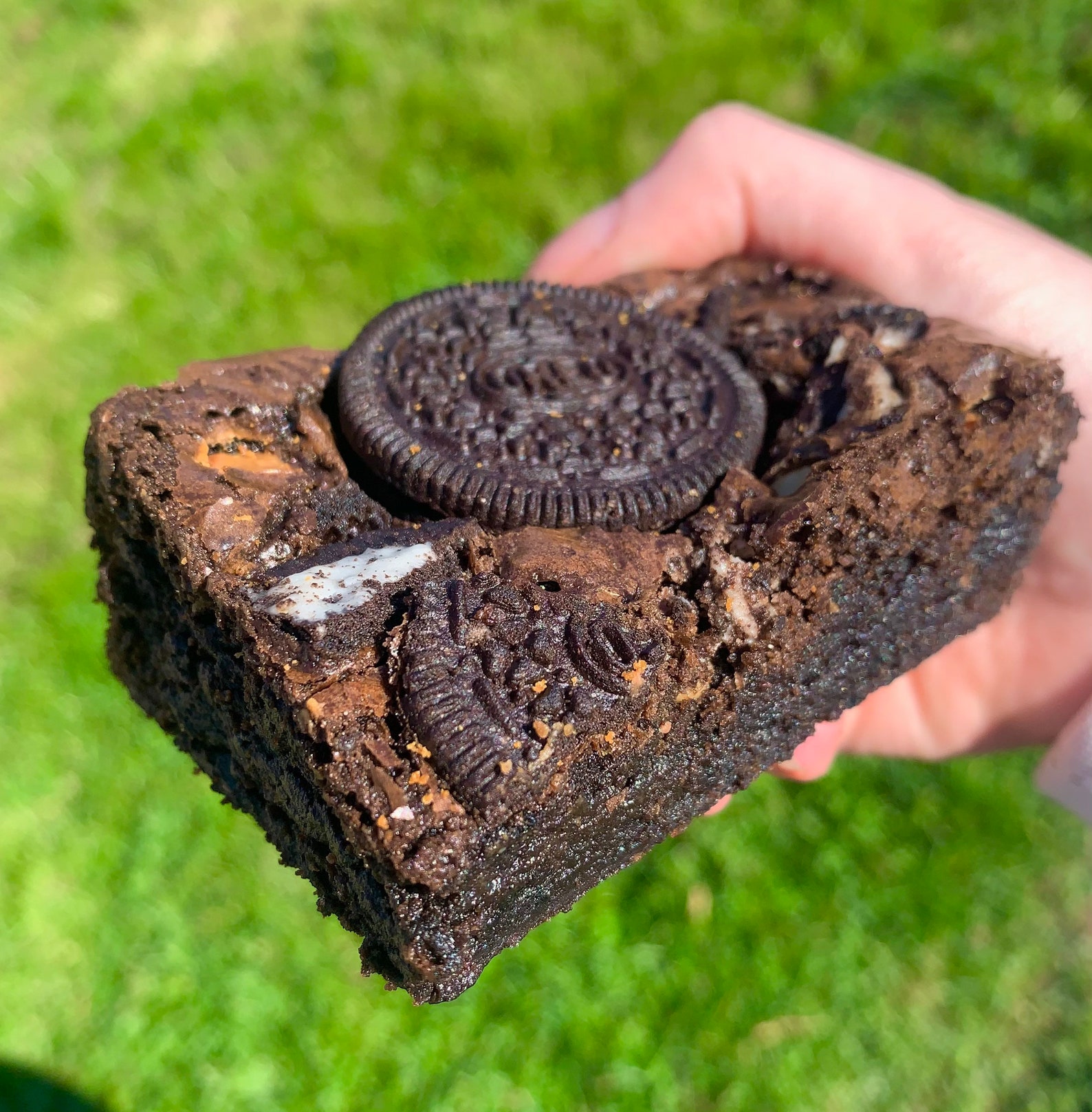 Postal brownies mixed selection Etsy