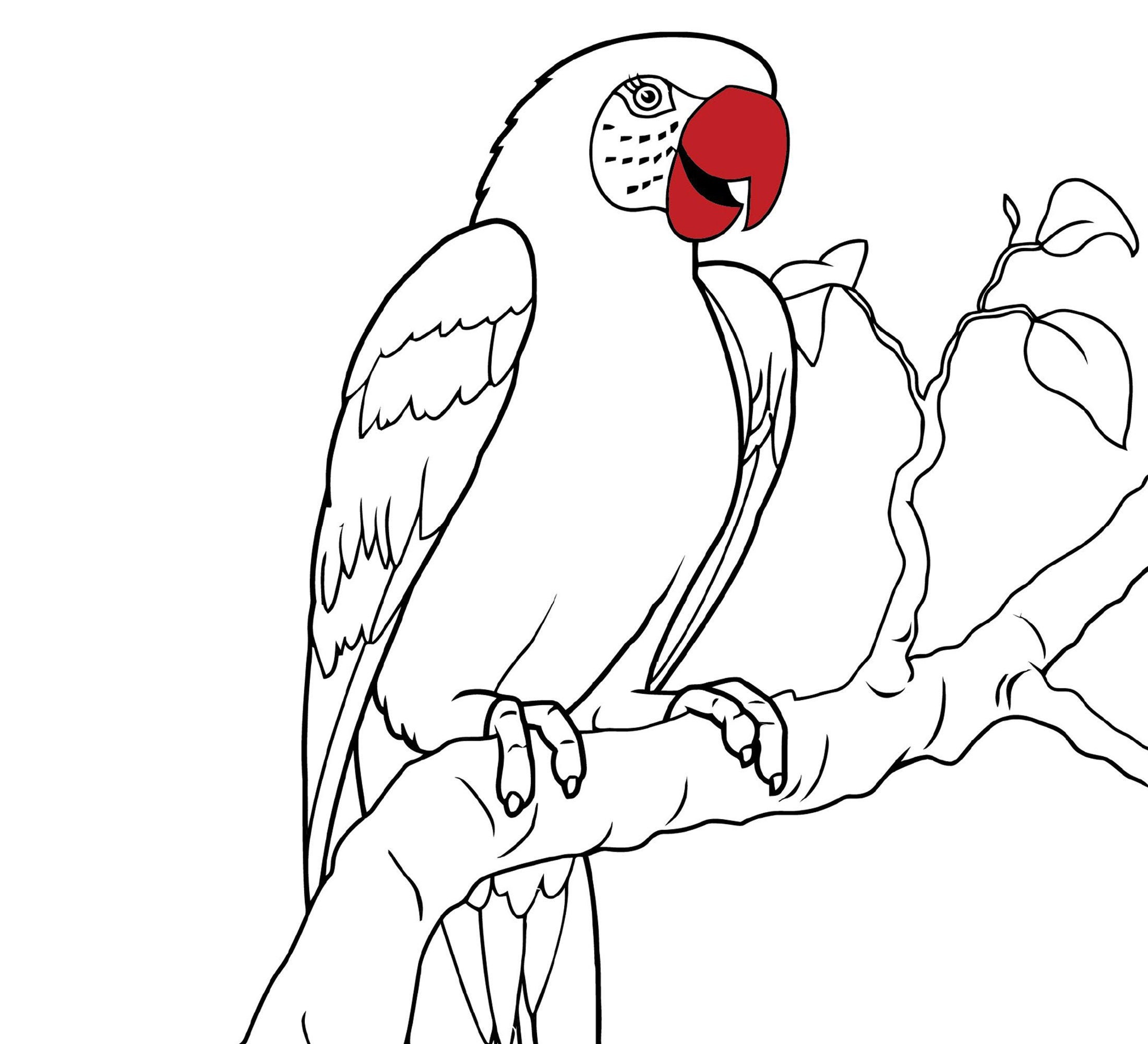 Parrot Coloring Page