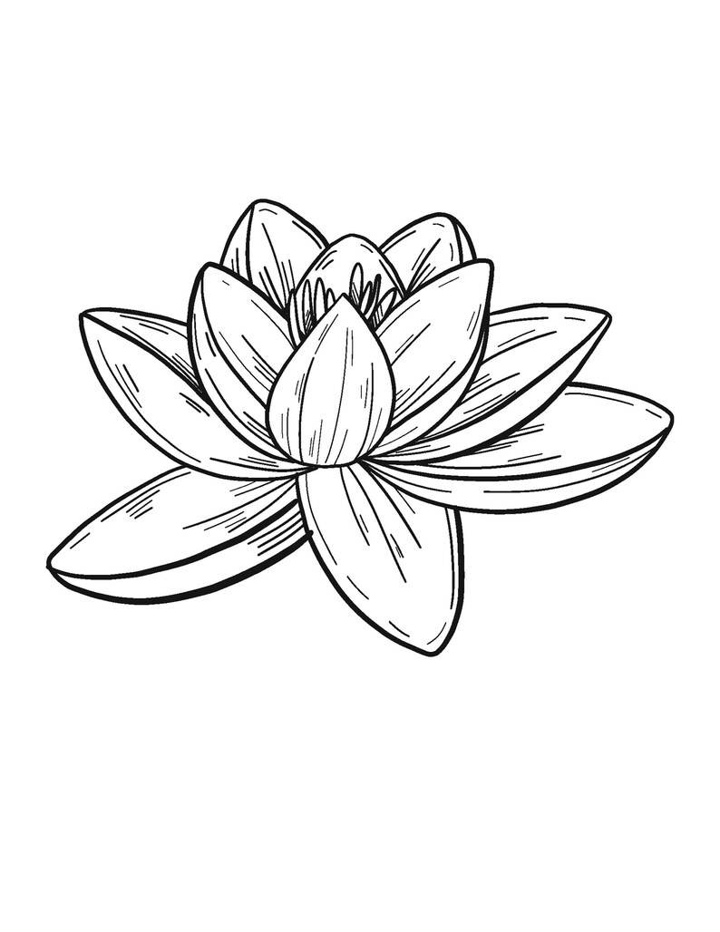 Water Lily Coloring Page Flower Coloring Pages Adult - Etsy New Zealand